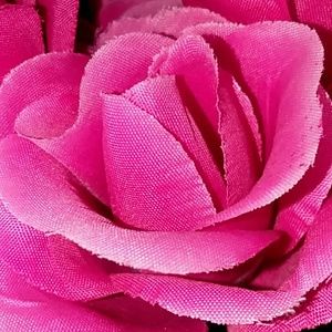 Meet your Posher, Beatrice